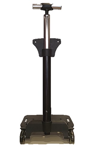 ���� ������ ���� �� ������ 