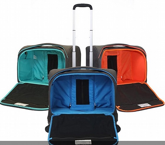 ������ ������ ���� ROLLUX FUGO